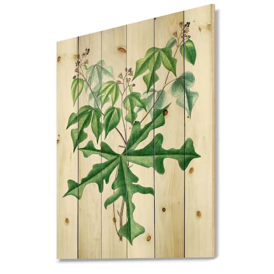 Designart - Vintage Drawing of Wild Plants